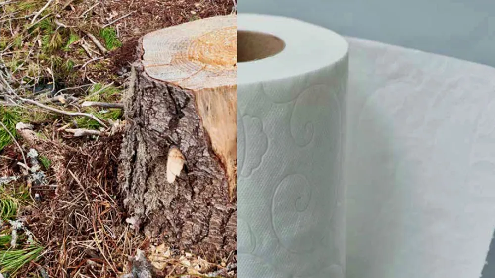 How Pandemic Toilet Paper Hoarding Spurred Michael Zelniker to Make Deforestation Doc ‘The Issue With Tissue’